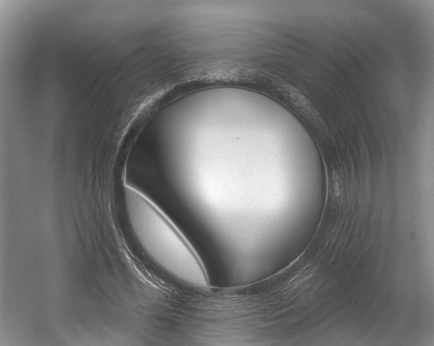 X0000058810588200509300942