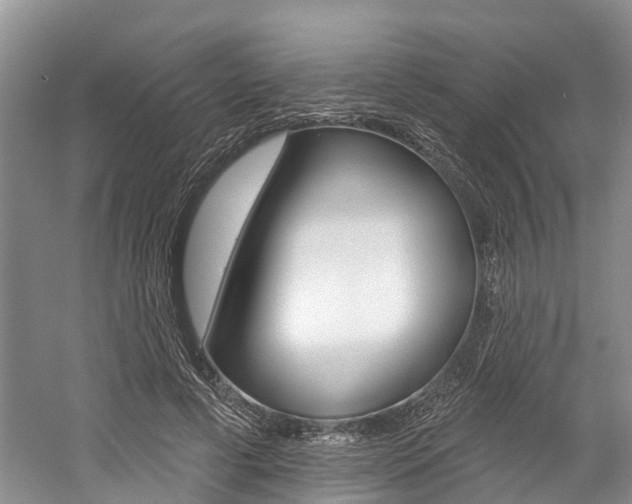 X0000058810593200509300942