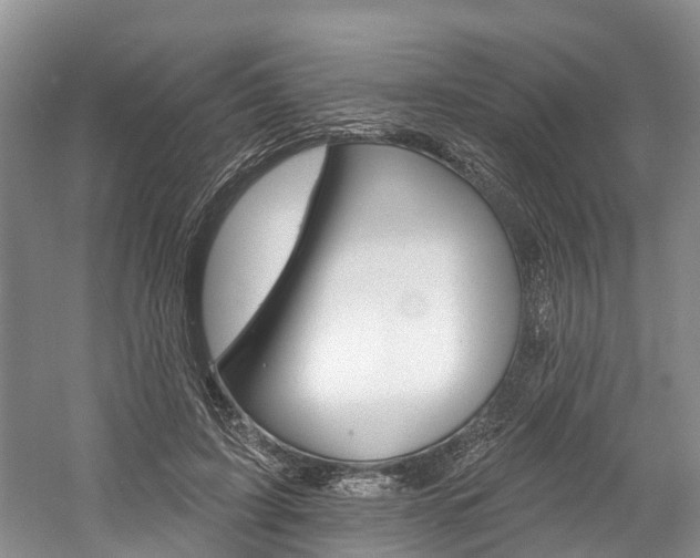 X0000058810595200509300942