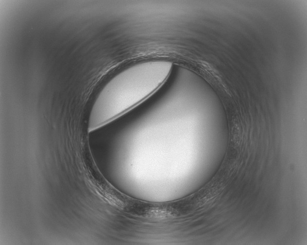 X0000058810596200509300942
