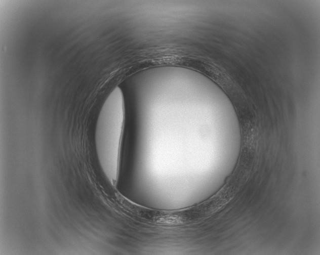 X0000058810599200509300942