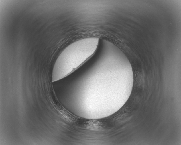 X0000058810612200509300942