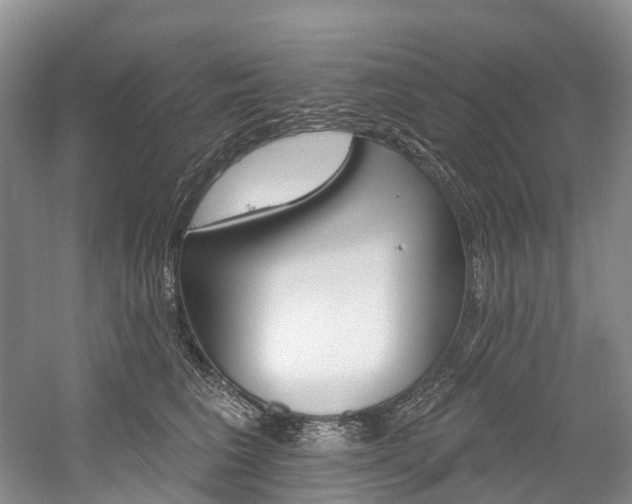 X0000058810613200509300942