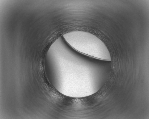 X0000058810616200509300942
