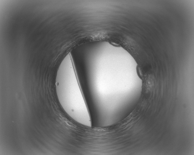 X0000058810619200509300942