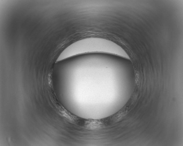 X0000058810621200509300942