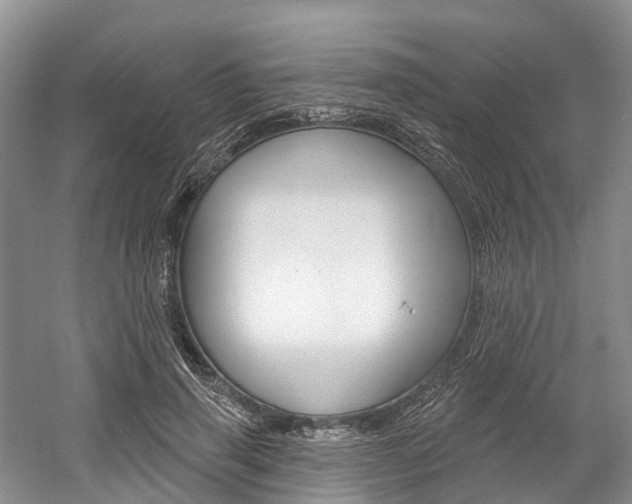 X0000058810645200509300941