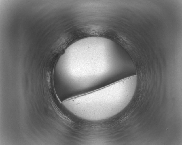 X0000058810646200509300941