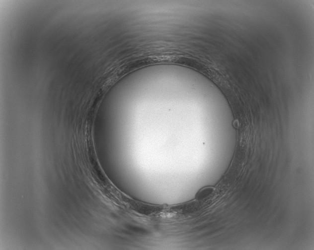 X0000058810647200509300941