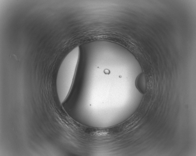 X0000058810651200509300941