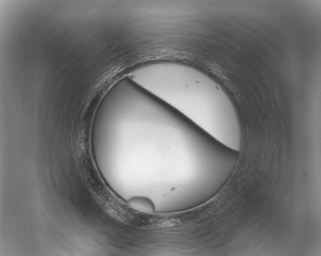 X0000058810683200509300941