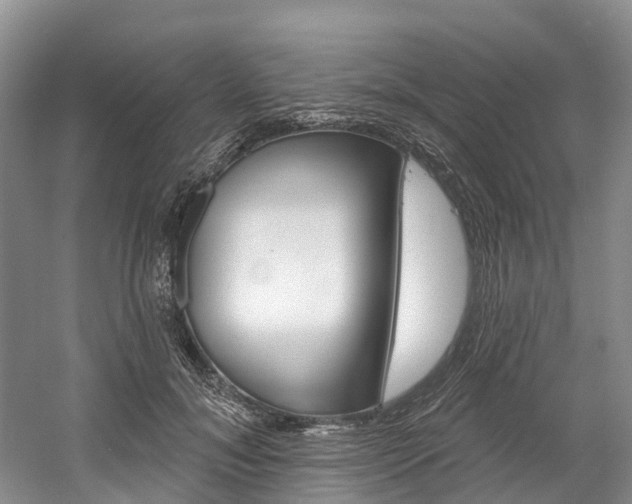 X0000058810700200509300940