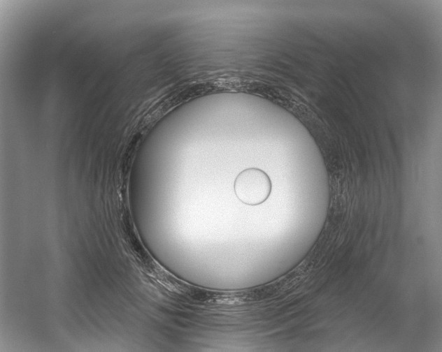 X0000058810702200509300940