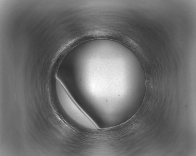 X0000058810732200509300939