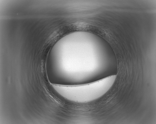 X0000058810744200509300940