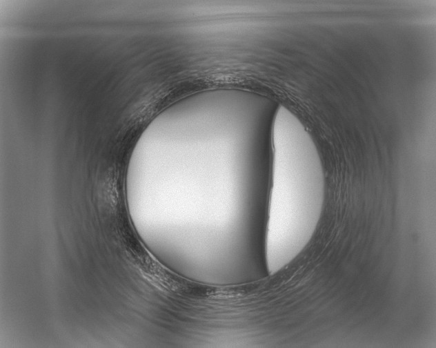 X0000058810746200509300940
