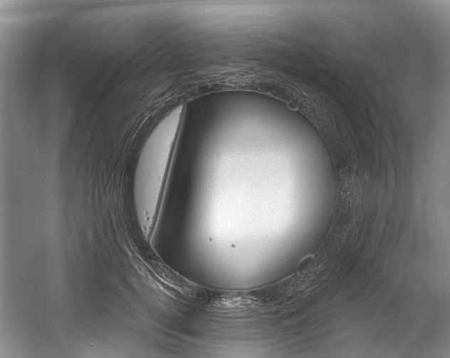 X0000058810752200509300940