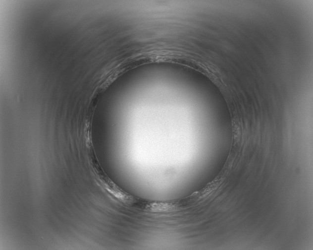 X0000058810766200509300940