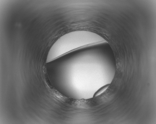 X0000058810767200509300940