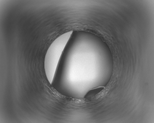 X0000058810768200509300940