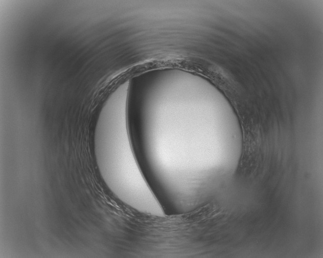 X0000058810773200509300939