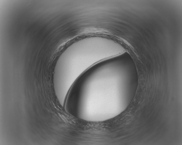 X0000058810775200509300939