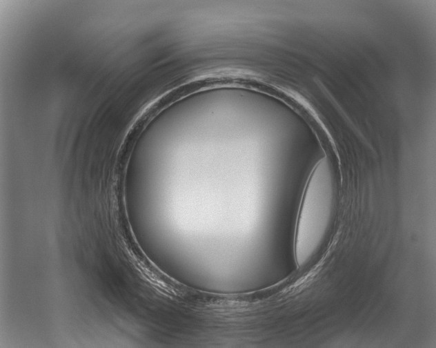X0000058810783200509300939