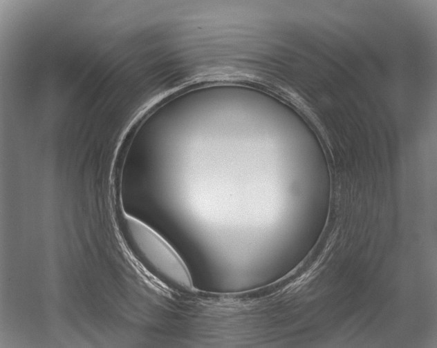 X0000058810787200509300939