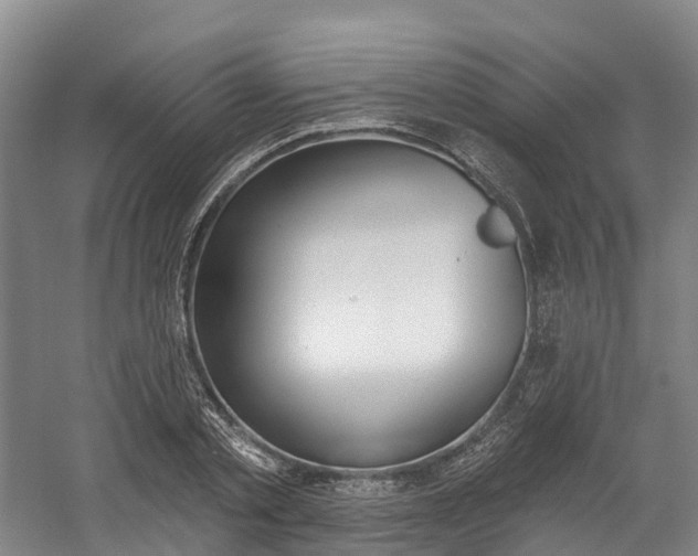 X0000058810789200509300939