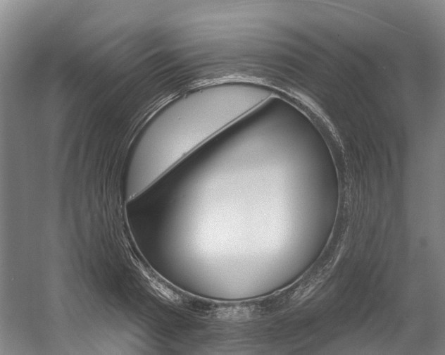X0000058810793200509300939