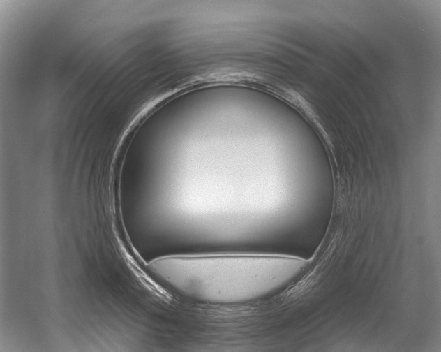 X0000058810795200509300939