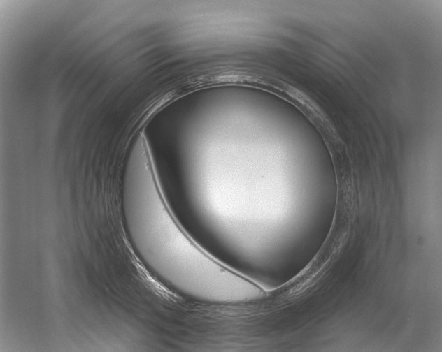 X0000058810801200509300939
