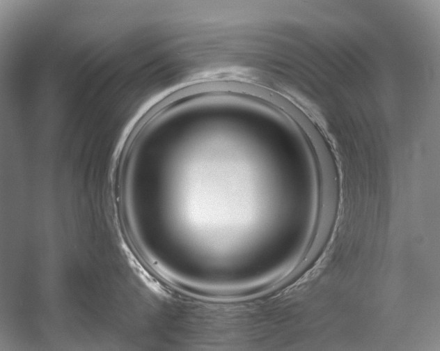X0000058810816200509300938