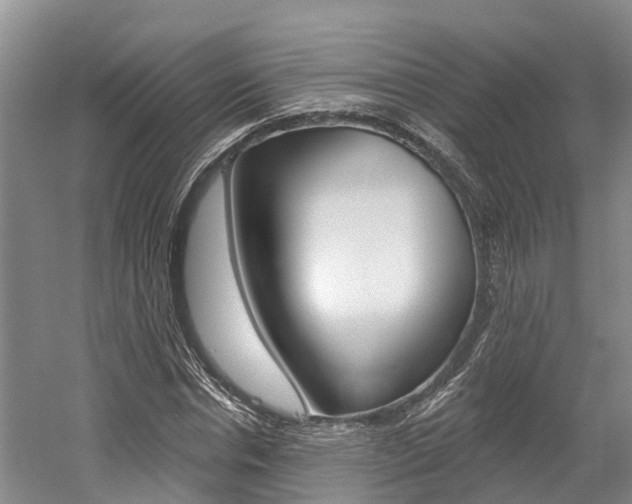 X0000058810826200509300938