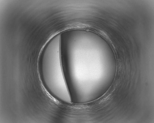 X0000058810843200509300938