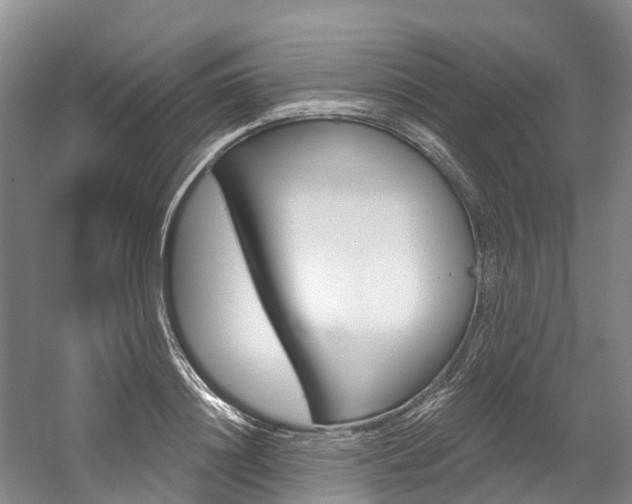 X0000058810844200509300938