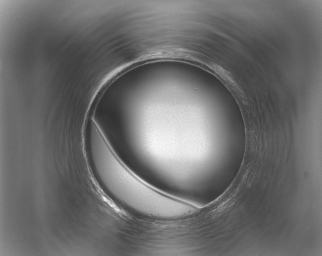 X0000058810846200509300938
