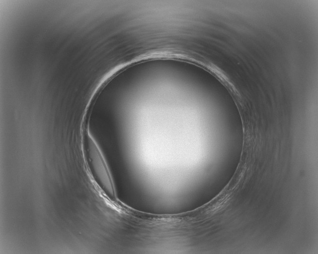 X0000058810854200509300938