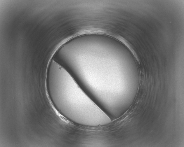X0000058810861200509300938