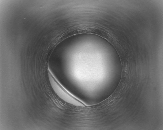 X0000058810868200509300938