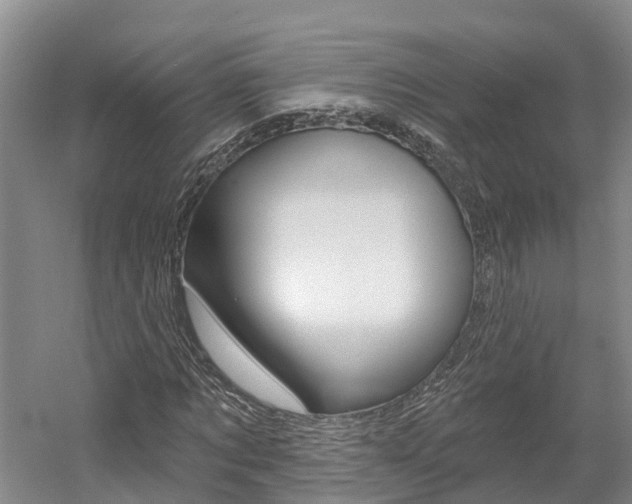 X0000058810869200509300938