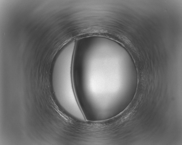 X0000058810881200509300937
