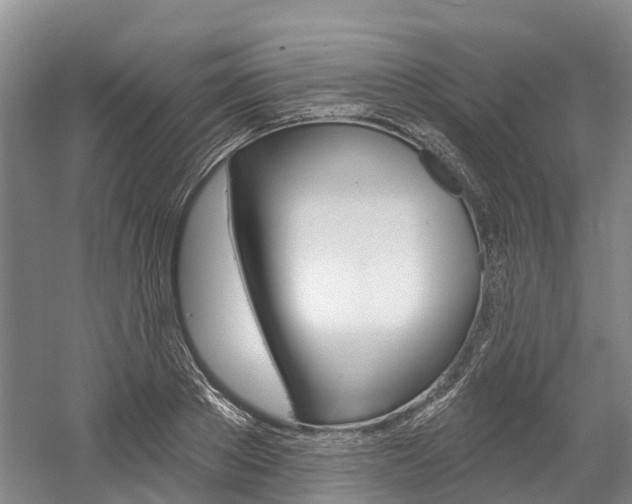 X0000058810889200509300937