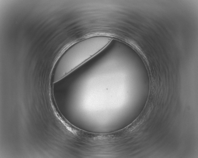 X0000058810898200509300937
