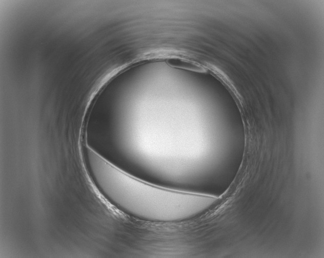 X0000058810901200509300937