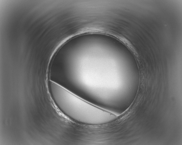 X0000058810904200509300937