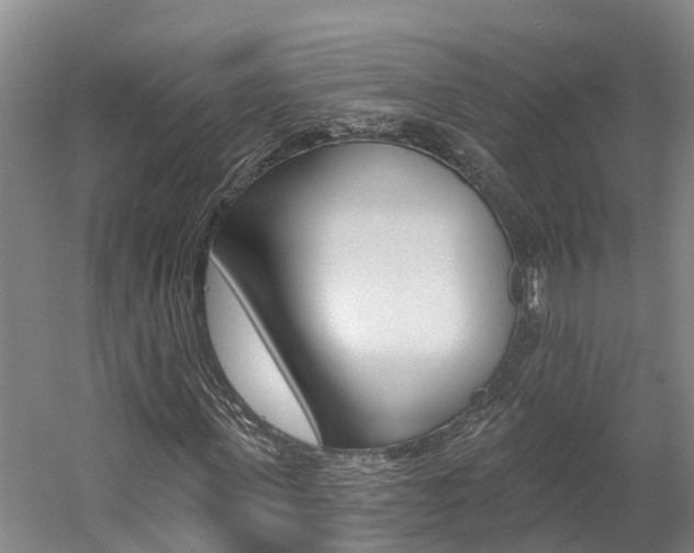 X0000058810915200509300936