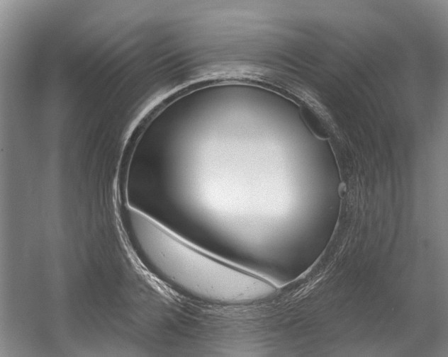 X0000058810936200509300936
