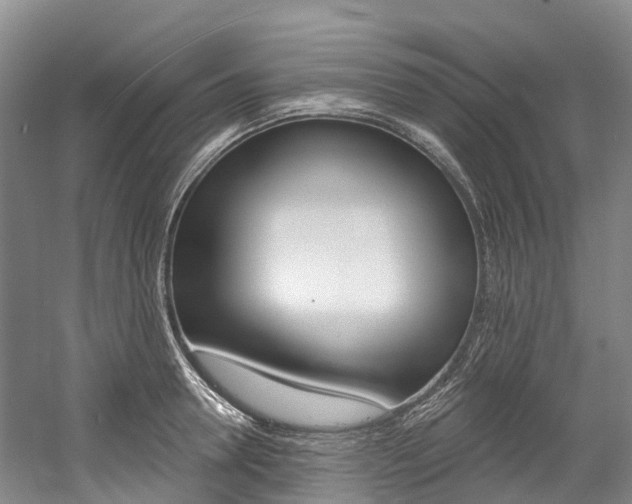X0000058810946200509300937