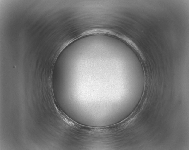 X0000058810953200509300937